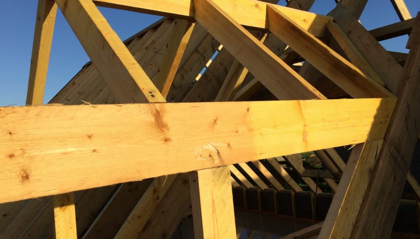 Lucarne charpente moderne - vue Côté